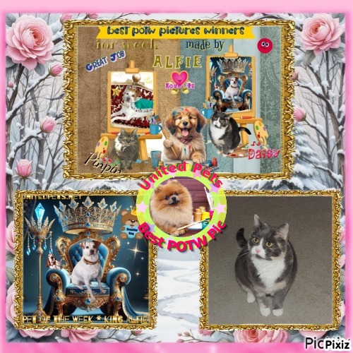 Blanche uploaded   97  day/s  ago