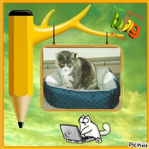 Blanche uploaded   50  day/s  ago