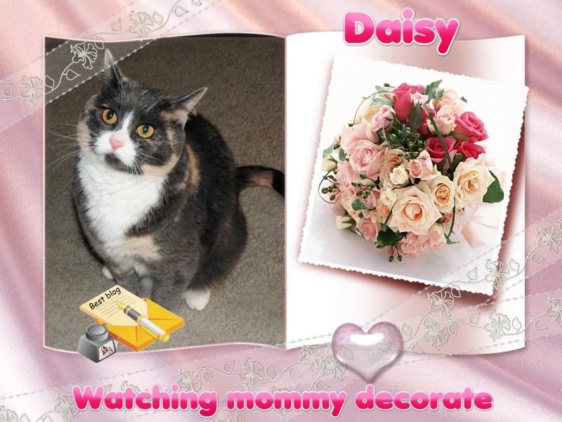 Blanche uploaded   49  day/s  ago