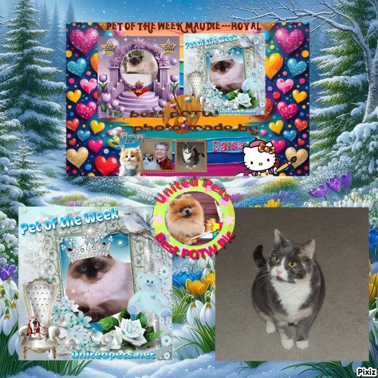 Blanche uploaded   83  day/s  ago