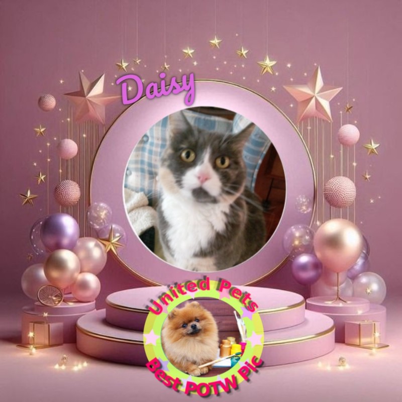 Blanche uploaded   78  day/s  ago