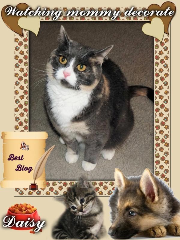 Blanche uploaded   46  day/s  ago