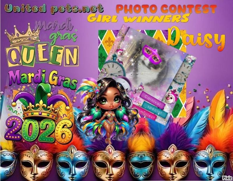 Blanche uploaded   81  day/s  ago