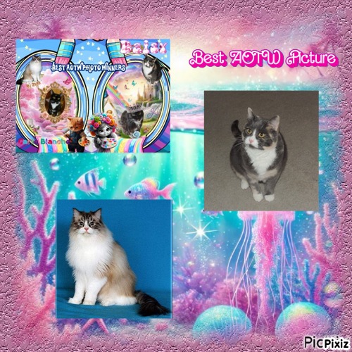 Blanche uploaded   67  day/s  ago