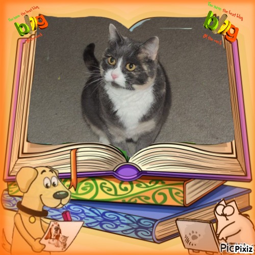 Blanche uploaded   50  day/s  ago