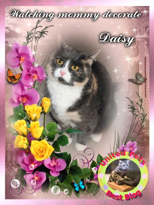 Blanche uploaded   49  day/s  ago