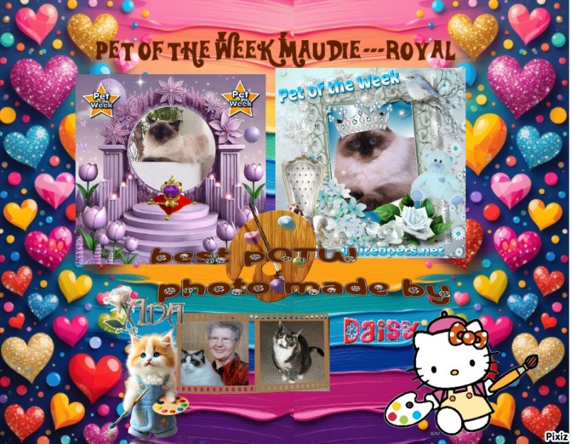 Blanche uploaded   83  day/s  ago