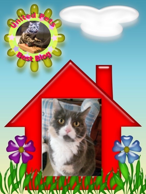 Blanche uploaded   49  day/s  ago