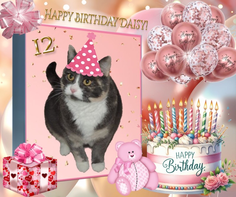 Blanche uploaded   117  day/s  ago
