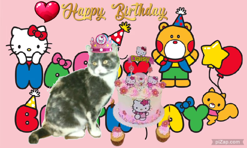 Daisy of the Blanche family