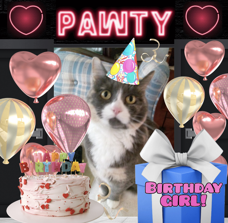 Daisy of the Blanche family