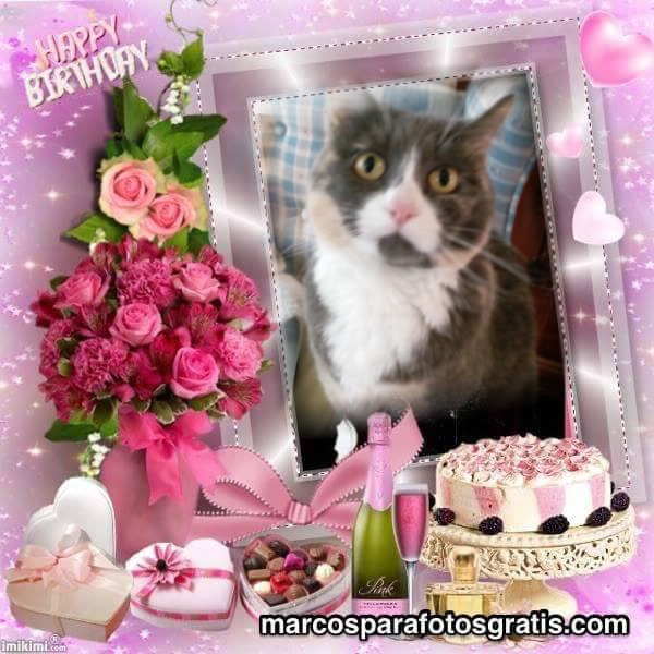 Daisy of the Blanche family