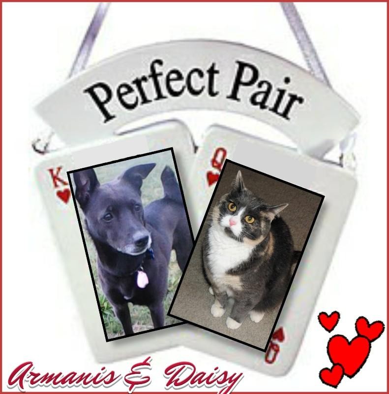 Blanche uploaded   75  day/s  ago