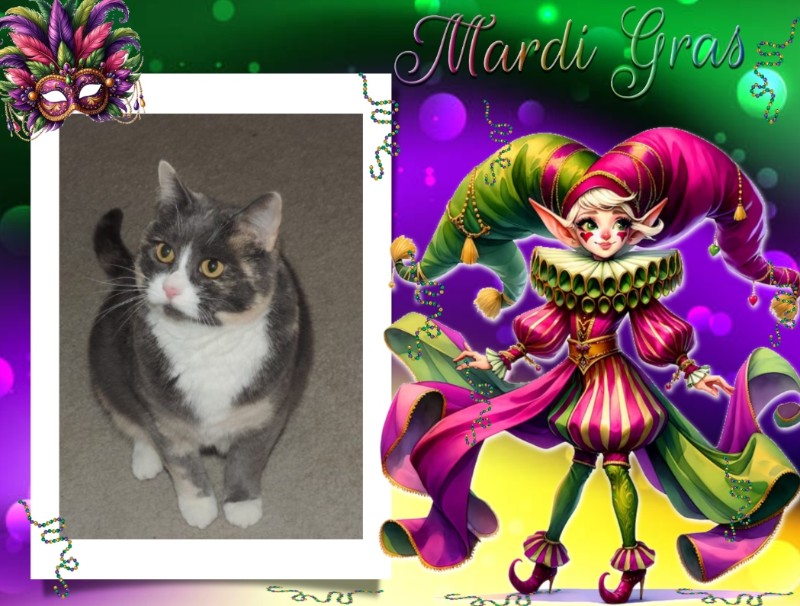 Blanche uploaded   67  day/s  ago