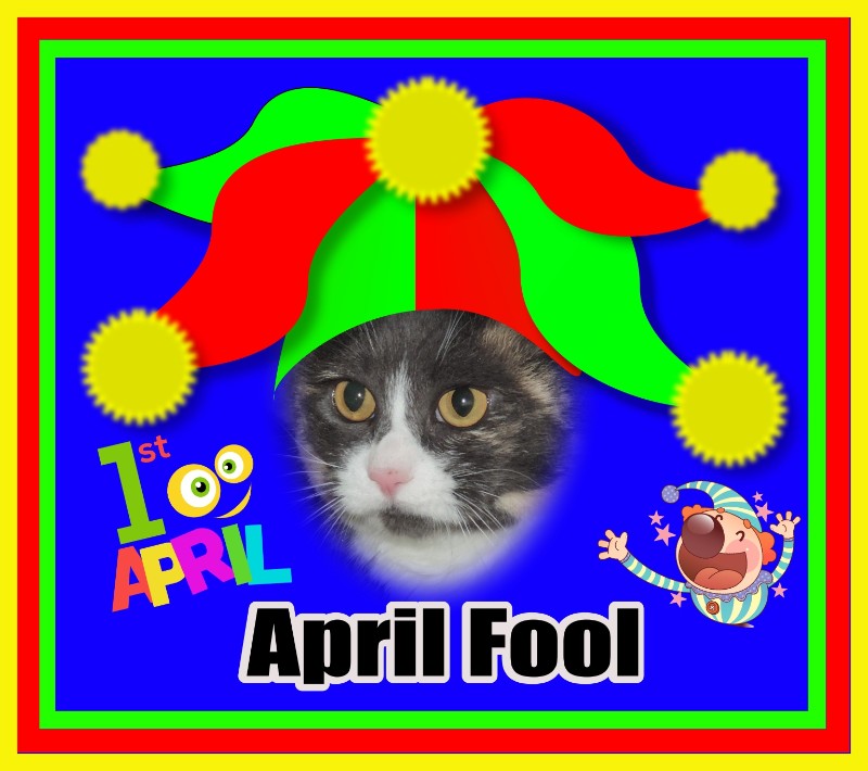 Blanche uploaded   11  day/s  ago