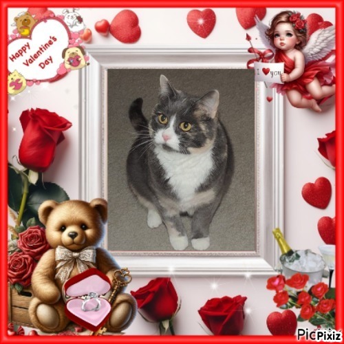 Blanche uploaded   81  day/s  ago