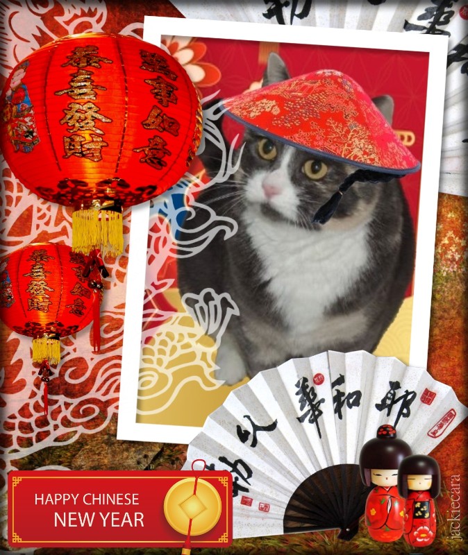 Blanche uploaded   96  day/s  ago