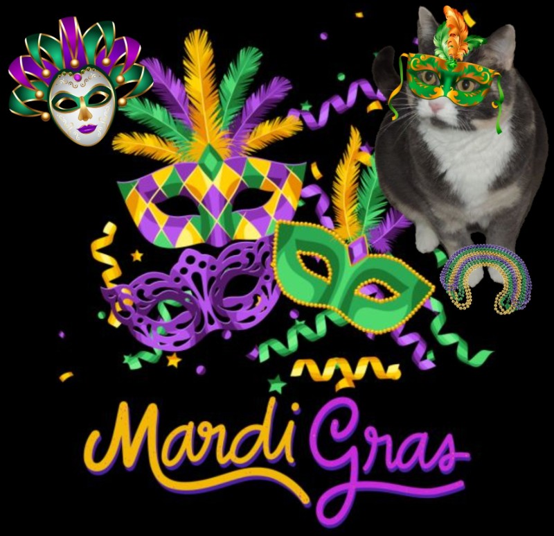 Blanche uploaded   93  day/s  ago