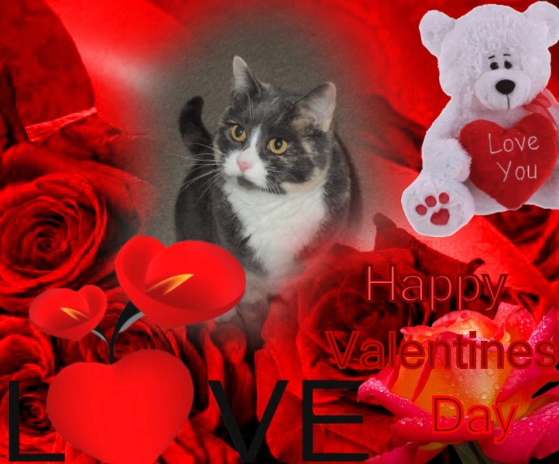 Blanche uploaded   71  day/s  ago