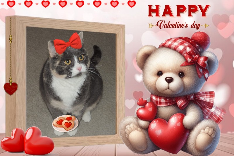 Blanche uploaded   72  day/s  ago