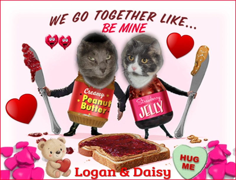 Blanche uploaded   88  day/s  ago