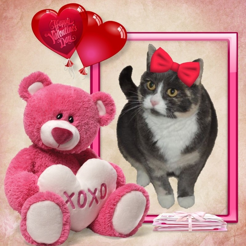 Blanche uploaded   89  day/s  ago