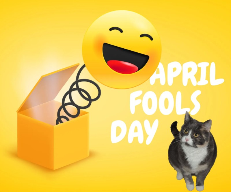 Blanche uploaded   23  day/s  ago