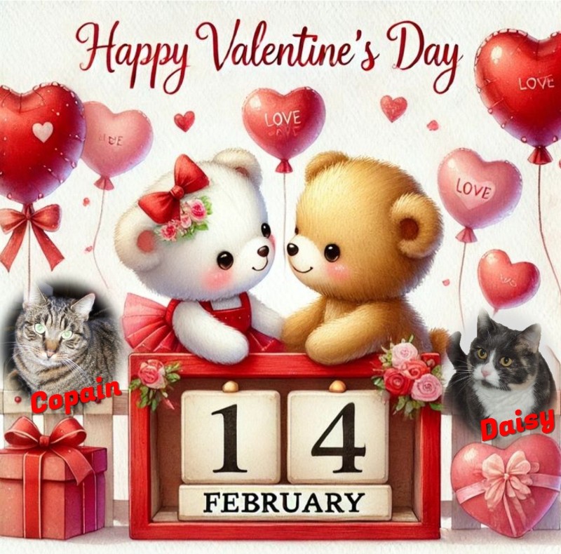 Blanche uploaded   81  day/s  ago