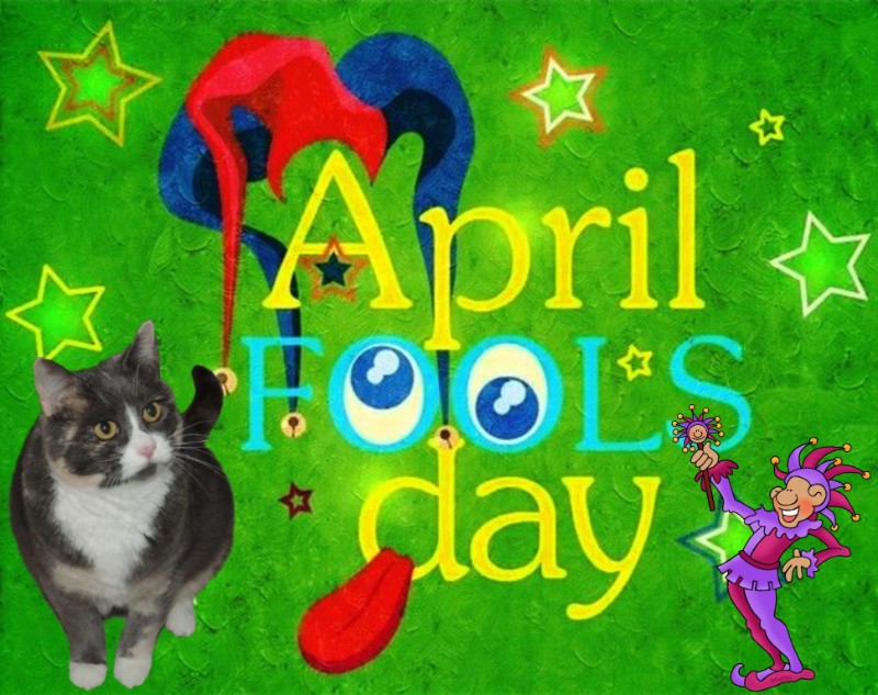 Blanche uploaded   15  day/s  ago