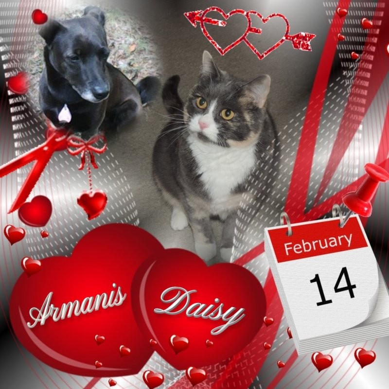 Blanche uploaded   75  day/s  ago