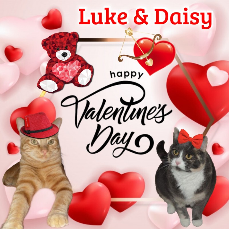 Blanche uploaded   83  day/s  ago