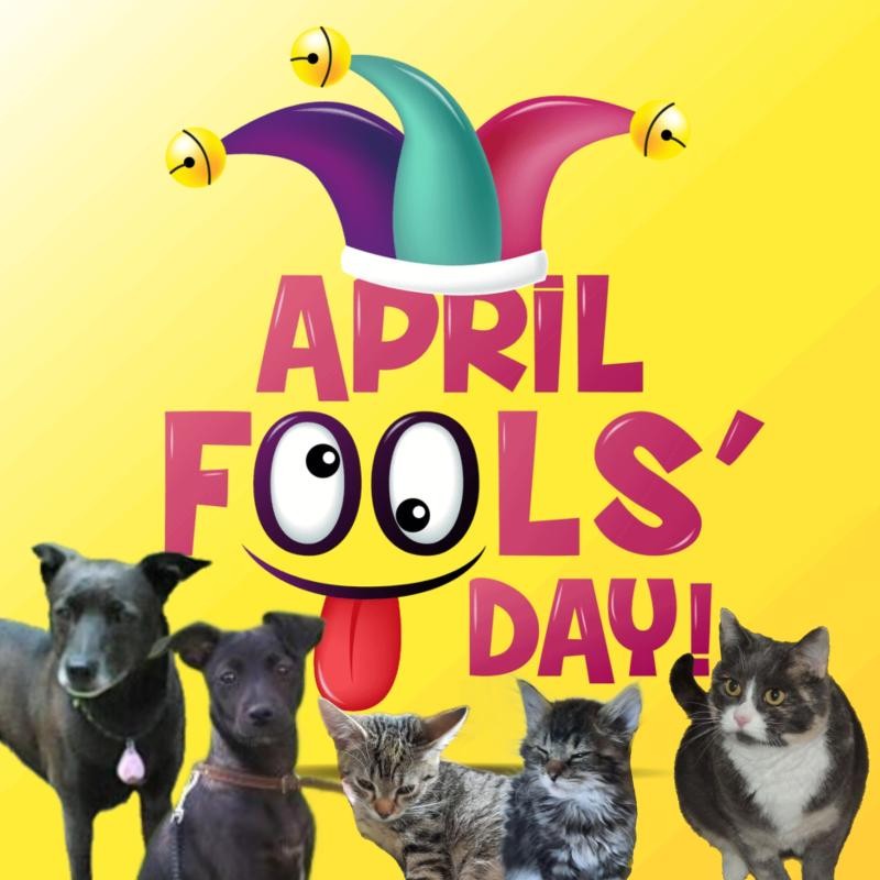 Blanche uploaded   18  day/s  ago