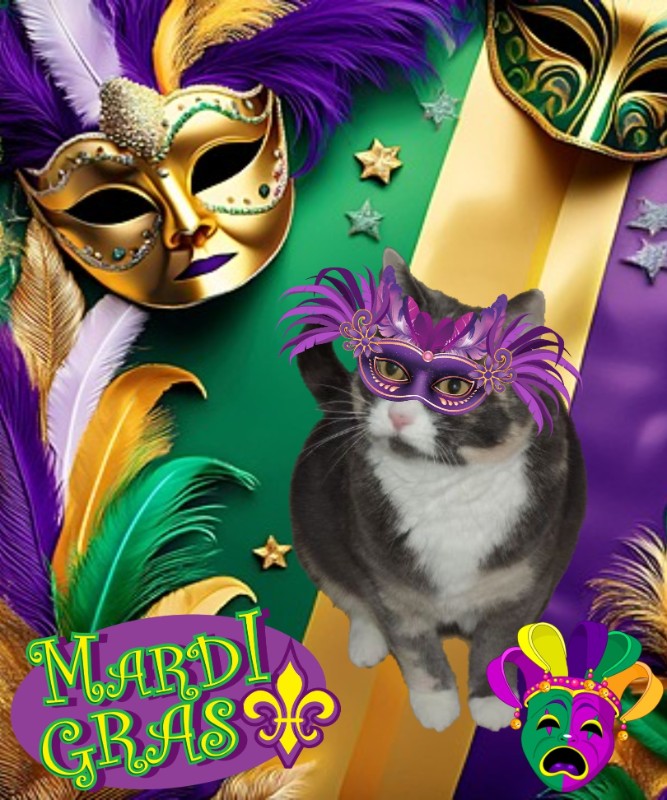 Blanche uploaded   90  day/s  ago