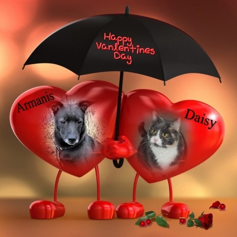 Blanche uploaded   89  day/s  ago