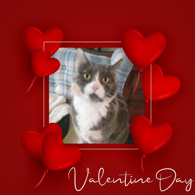 Blanche uploaded   70  day/s  ago