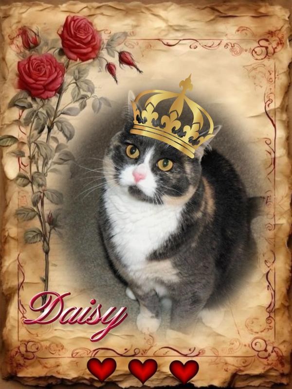 Blanche uploaded   67  day/s  ago