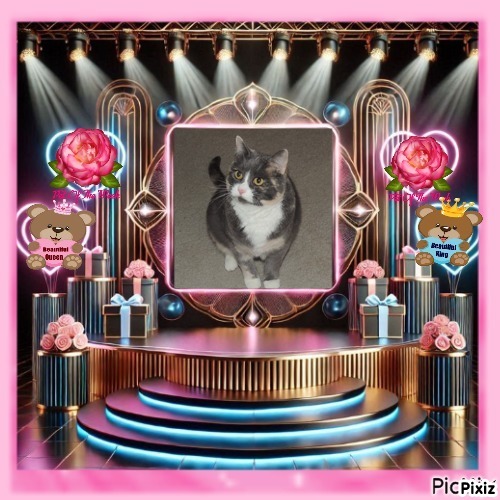 Blanche uploaded   66  day/s  ago