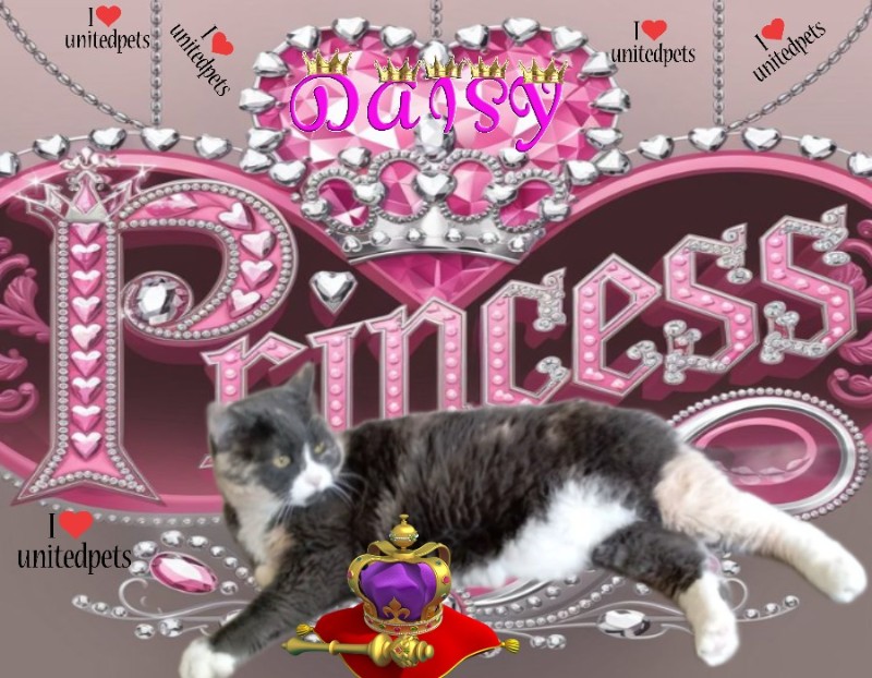 Blanche uploaded   70  day/s  ago