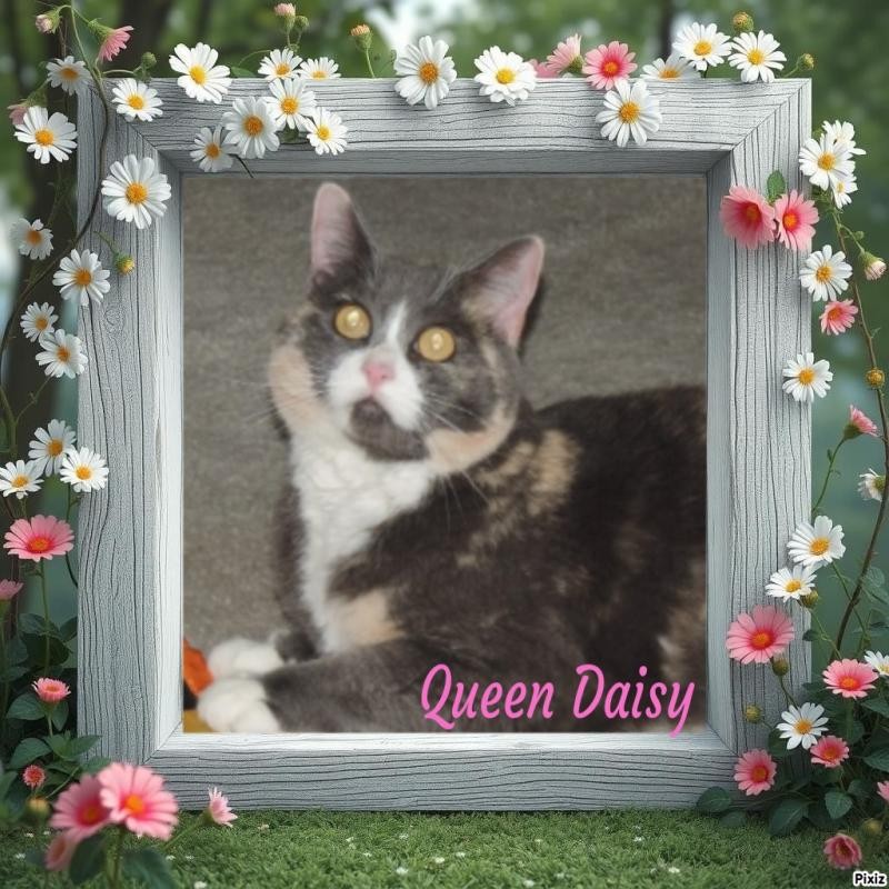 Blanche uploaded   3 hour/s ago