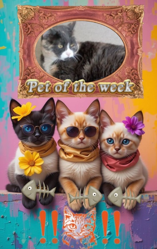 Blanche uploaded   67  day/s  ago