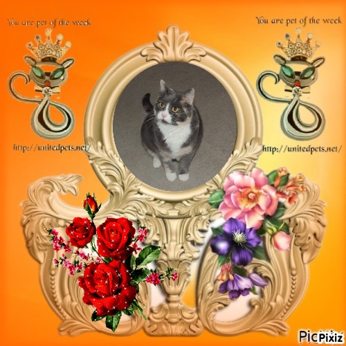 Blanche uploaded   70  day/s  ago