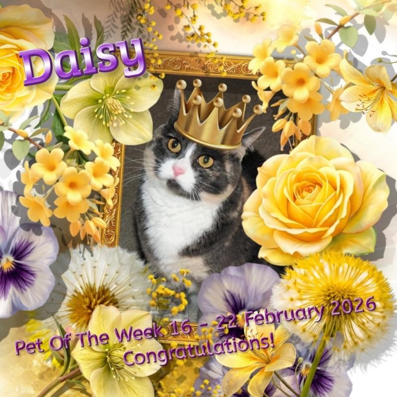 Blanche uploaded   67  day/s  ago