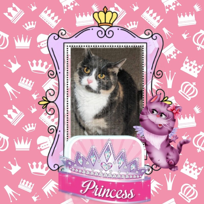 Blanche uploaded   70  day/s  ago