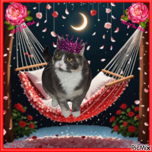 Blanche uploaded   64  day/s  ago