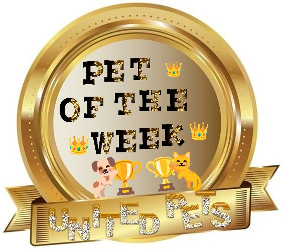 Blanche uploaded   69  day/s  ago