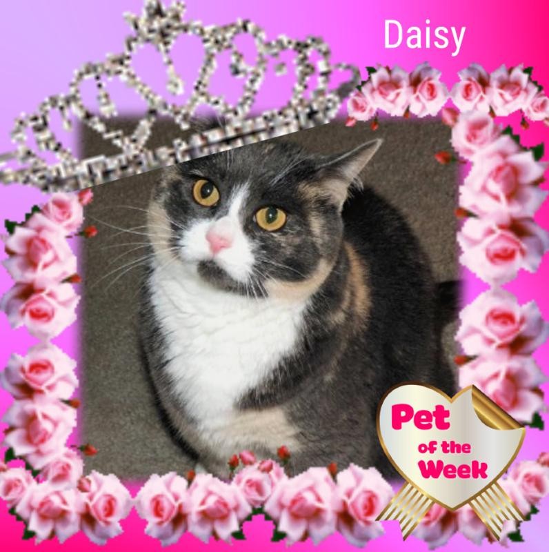 Blanche uploaded   69  day/s  ago