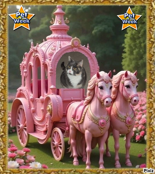 Blanche uploaded   66  day/s  ago