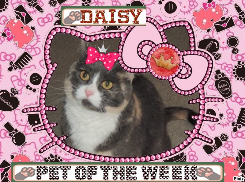 Blanche uploaded   65  day/s  ago