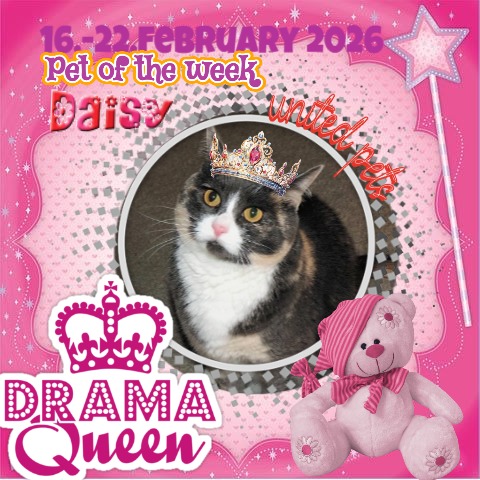 Blanche uploaded   70  day/s  ago