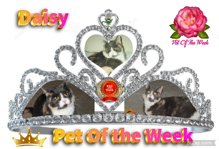 Blanche uploaded   66  day/s  ago